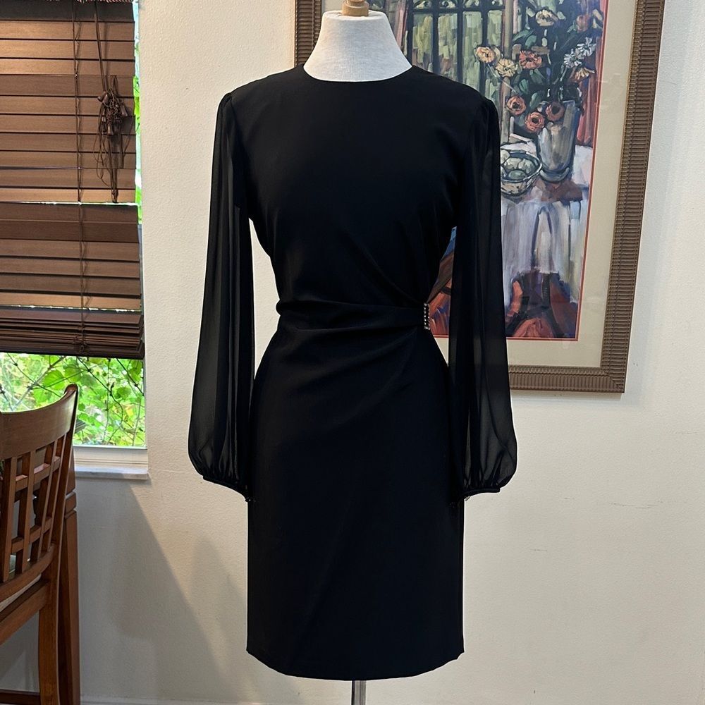 DAVID WARREN NEW YORK Elegant Black Dress w/ Sheer Slvs & Crystal Hardware SZ 8